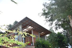 a house in the middle of a forest at Camphor Mountain View in Lushoto +9 photos