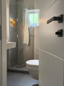 a bathroom with a toilet and a glass shower at Apartmani Grguric in Kornić +46 photos