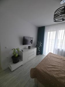 a bedroom with a bed and a flat screen tv at The Cozy Velvet in Ocna-Mureşului