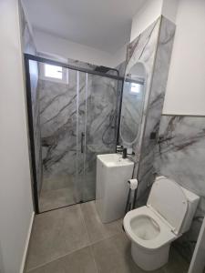 a bathroom with a toilet and a shower at The Cozy Velvet in Ocna-Mureşului +11 photos