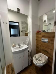 a bathroom with a sink and a toilet and a mirror at Ośrodek Dalpol in Prażmowo +98 photos