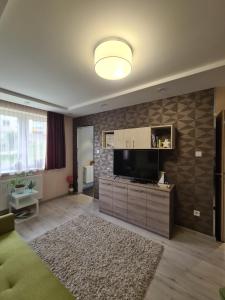 a living room with a flat screen tv on a wall at Götzer Apartman in Komló +35 photos