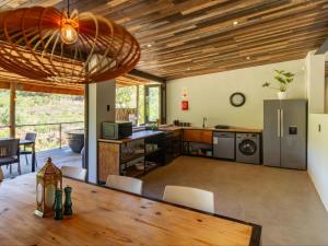 a kitchen and living room with a wooden ceiling at Wild Olive Cottage with Hot tub in Wolseley