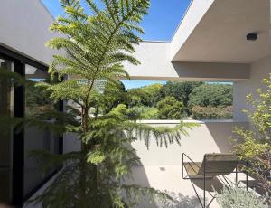 a palm tree on the balcony of a house at The Habitus Residence, a Design house in Corfu