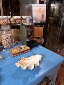 a blue table with fossils and other items on it at La Doi Pasi De Mare in Vama Veche