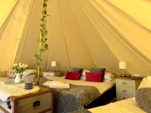 a room with two beds in a tent at Chestnut Meadow Camping & Glamping in Sidley +21 photos