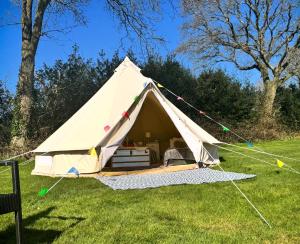 a tent in the grass in a field at Chestnut Meadow Camping & Glamping in Sidley