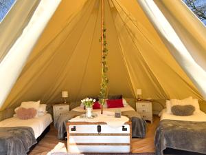 a room with two beds in a tent at Chestnut Meadow Camping & Glamping in Sidley