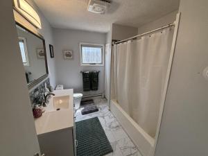 a bathroom with a shower and a sink and a toilet at Trailside Lake Retreat in Gaylord +12 photos