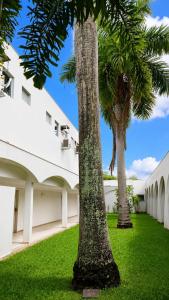 two palm trees in front of a building at Hotel Teofilo Otoni in Teófilo Otoni