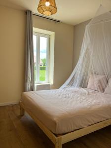 a bedroom with a bed with a mosquito net at Cercy in Cercy-la-Tour