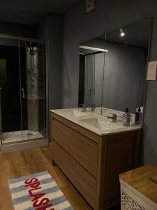 a bathroom with a sink and a shower and a mirror at Cercy in Cercy-la-Tour +11 photos