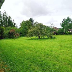 a field of green grass with trees in the background at Chez Nanard et Lili in Bec-de-Mortagne