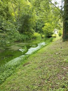 a river with trees and grass next to a field at Chez Nanard et Lili in Bec-de-Mortagne +3 photos