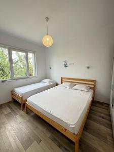 two beds in a room with two windows at Vala Mar Apartments by Four C in Hamallë