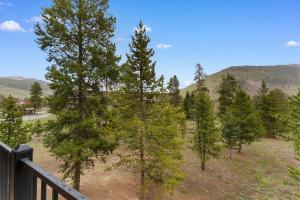a view from the balcony of a forest of pine trees at Pines #2041 : 2 in Keystone