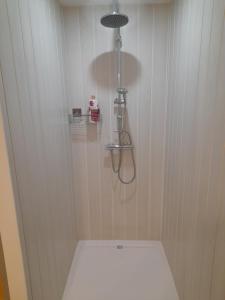 a shower stall with a toilet in a bathroom at Gîte aux 3 Cep in Magnien +2 photos