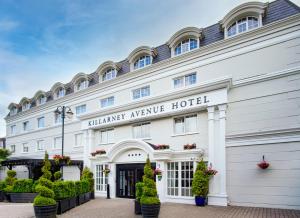 a rendering of the entrance to the harry avenue hotel at Killarney Avenue in Killarney
