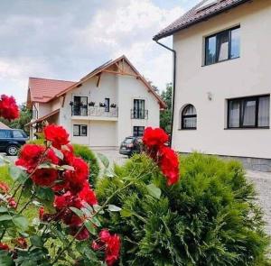 a house with red flowers in front of a building at Pensiunea Baias in Bîrsana