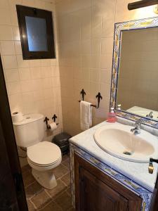 a bathroom with a toilet and a sink and a mirror at Casa do Campo in Montalegre