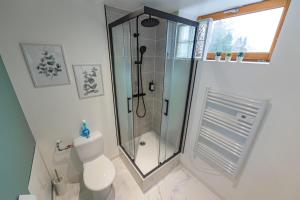 a bathroom with a shower and a toilet at L'échappée de l'Arbalète in Autun