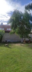 a picnic table and a tree in a yard at Petit studio charmant in Lezoux