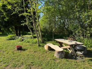 a picnic table and a grill in the grass at Salatse metsa mesionn in Salatse