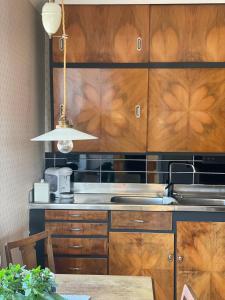 a kitchen with wooden cabinets and a sink at Snertingdal ysteri in Gjøvik