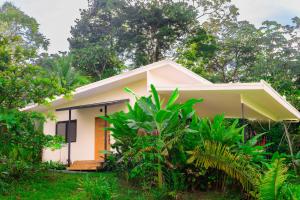 a house in the middle of a forest at Villa Bruno - Jungle Lodge Near Corcovado & Puerto Jiménez in Puerto Jiménez