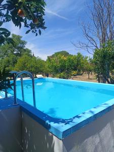 a blue swimming pool with trees in the background at Oficina do Avô in Villa Nogueira