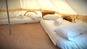 a couple of beds in a tent at Camping San Javier in San Javier +57 photos