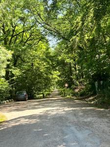 a tree lined road with a car parked on it at Ancrage home in Montargis