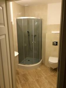 a glass shower in a bathroom with a toilet at POD TĘŻNIĄ in Szczyrk