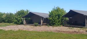 a couple of black tents in a field at Camping Amable in Someren