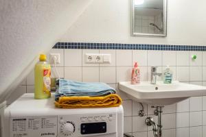 a bathroom with a sink and a washing machine at Alte Schmiede Ellrichshausen 2 in Satteldorf