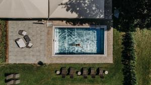 an overhead view of a bird flying over a swimming pool at Hotel loj - our kind of place in Flachau