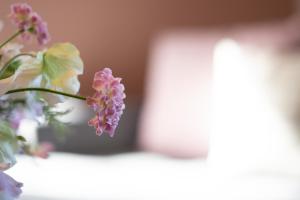 a close up of purple flowers in a vase at Siestalodge 1 in Pelzerhaken