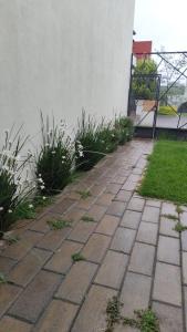a patio with grass and plants next to a building at Loft Privado Seguridad 24HRS a 15 de piramide de cholula in Cholula