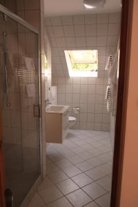 a bathroom with a shower and a sink and a toilet at Willa u Basi in Miłków +45 photos