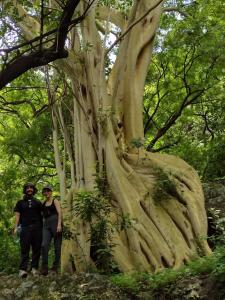 a man and a woman standing next to a tree at Casa Santi Tepoztlán in Tepoztlán