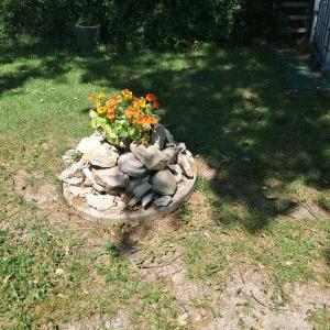 a flower bed of rocks and flowers in a yard at Orchard House North in Pergola +2 photos