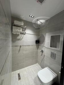 a bathroom with a toilet and a shower at Bluestone Amlak 1 in Medina +9 photos