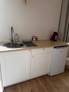 a kitchen with a sink and a counter top at Cozy independent apartment in Mornant +1 photo