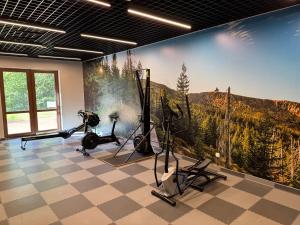 a gym with a mountain mural on the wall at Górski Błękit in Szklarska Poręba