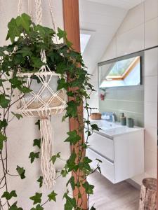 a plant hanging from a wall in a bathroom at Lake View Balcony in Le Chenit