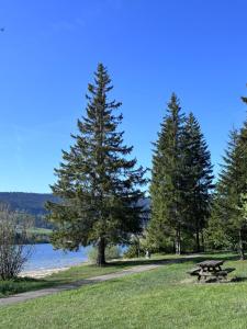 a picnic table in a park next to a lake at Lake View Balcony in Le Chenit +13 photos