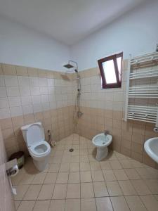a bathroom with a toilet and a bidet and a sink at Green Oasis Villa in Voskopojë +14 photos