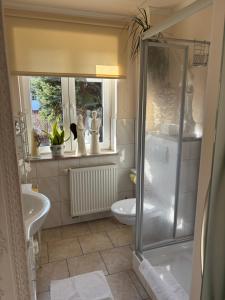 a bathroom with a shower and a sink and a toilet at Little Cottage auf 2 Etagen in Raben Steinfeld +26 photos
