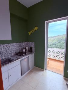 a kitchen with green walls and a door to a balcony at Art & Motion Union - Guest Room 4 in Andros
