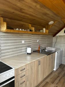 a kitchen with a sink and a counter top at Guesthouse Nedajno in Nedajno +58 photos
